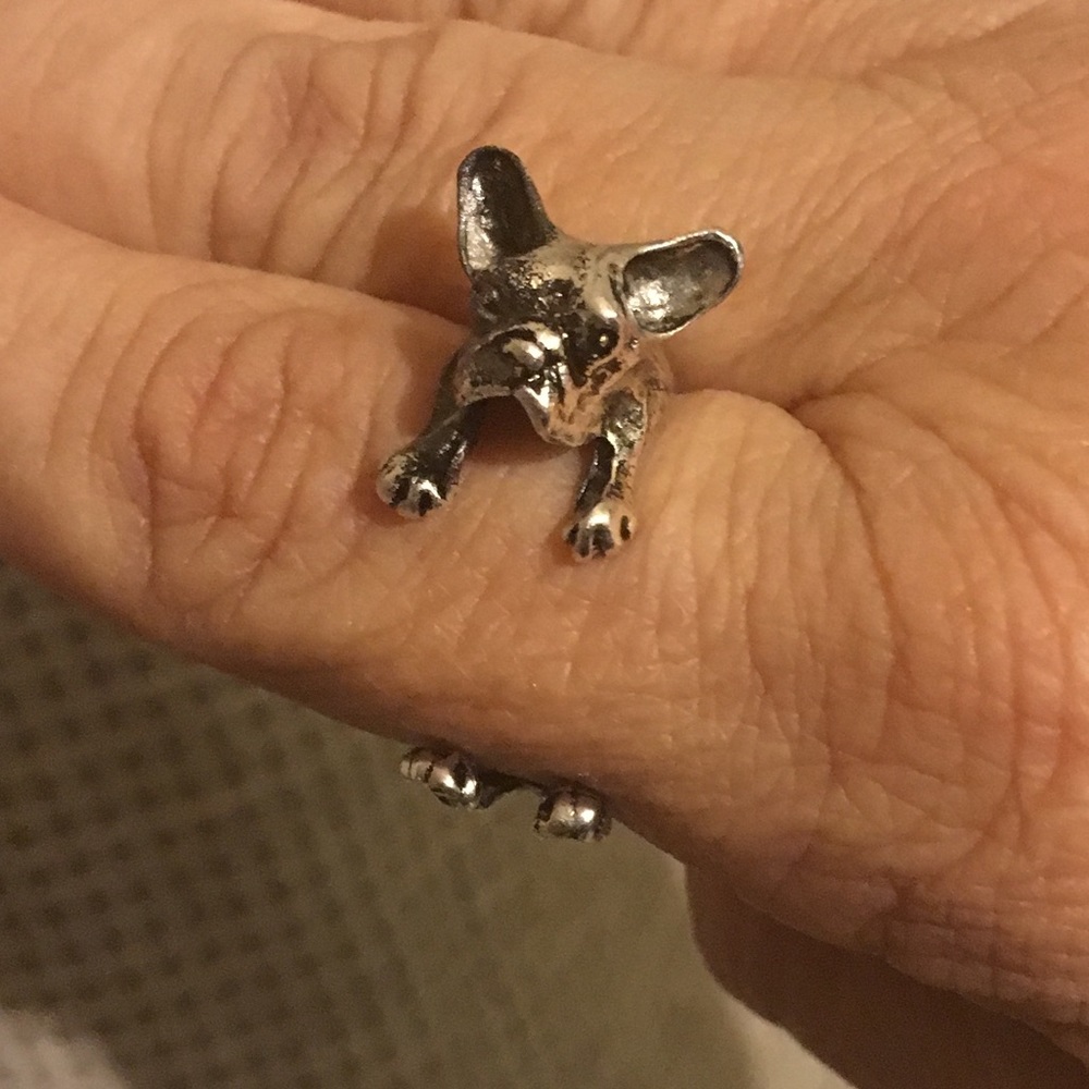 NWOT Bulldog Silvertone  ring